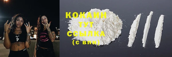 индика Санкт-Петербург
