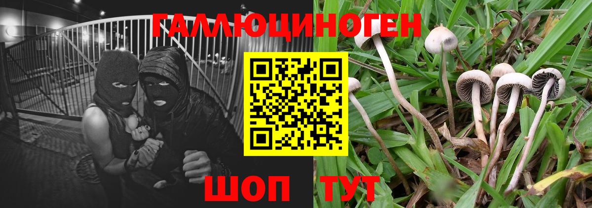 Можга  Галлюциногенные грибы Magic Shrooms  Вход с VPN  Галлюциногенные грибы мицелий 