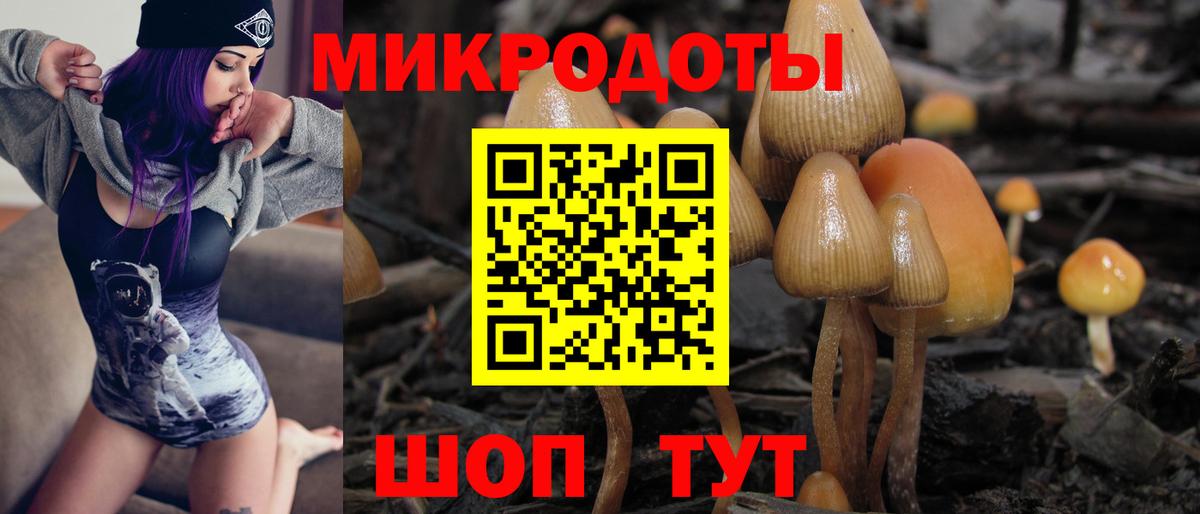 купить наркотики цена  Можга  Псилоцибиновые грибы Cubensis  Галлюциногенные грибы мицелий 