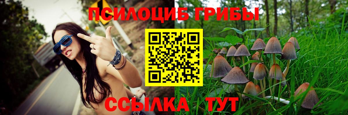 Псилоцибиновые грибы Cubensis Можга