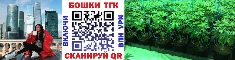 blacksprut зеркало  Можга  Конопля OG Kush 
